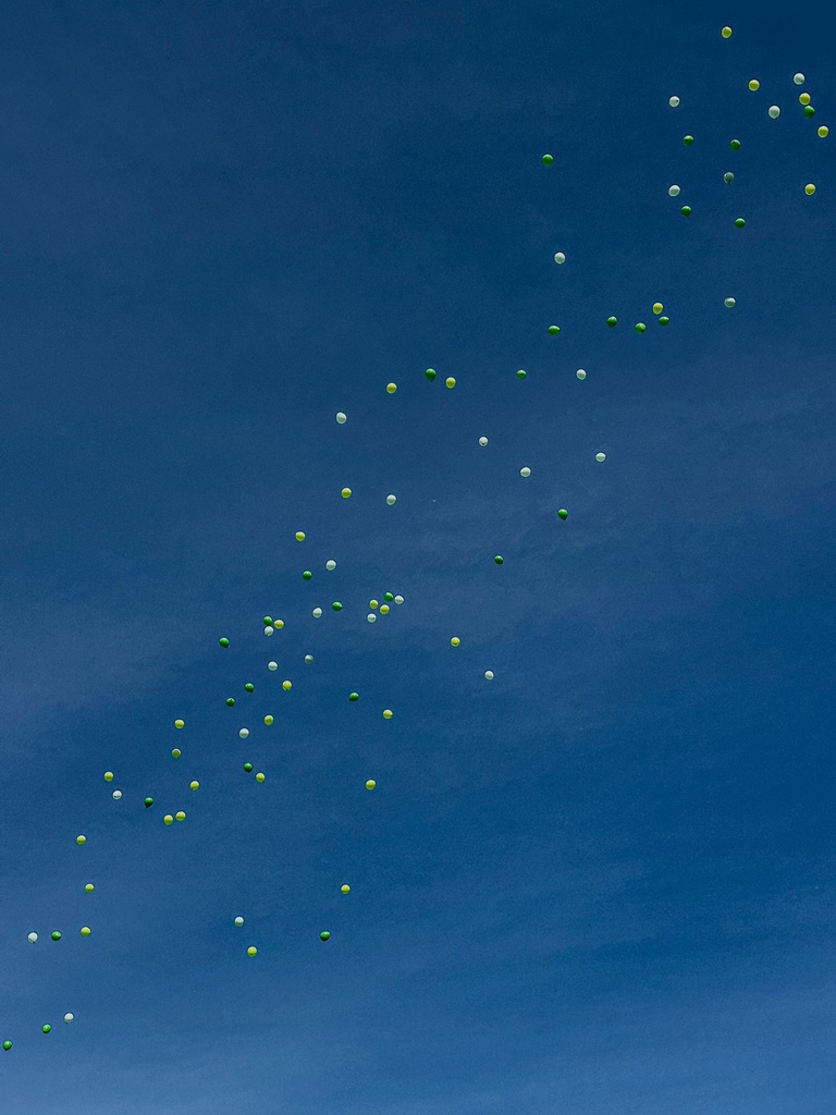 Correlation and Regression Analysis